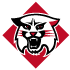 Davidson Wildcats logo